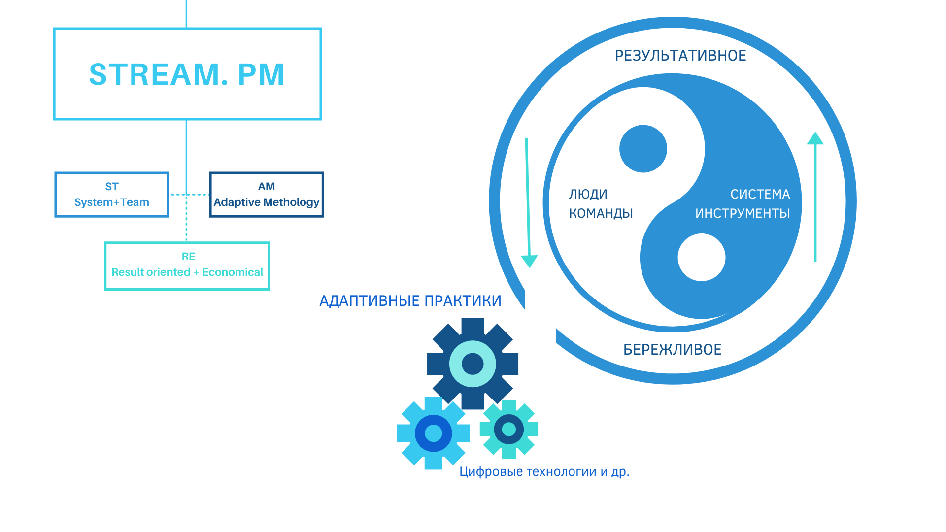 Практика управления проектами